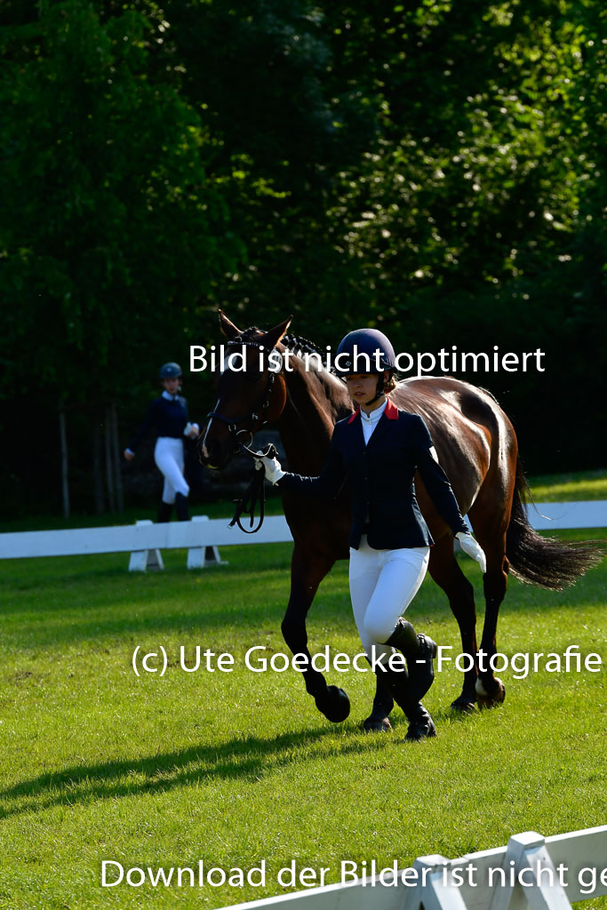 Goldene Schärpe Ponys in Hohen Luckow 1-4.6.23 | 04062023 -  Vormustern _114 