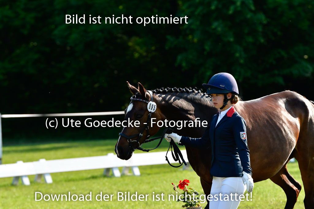 Goldene Schärpe Ponys in Hohen Luckow 1-4.6.23 | 04062023 -  Vormustern _115 