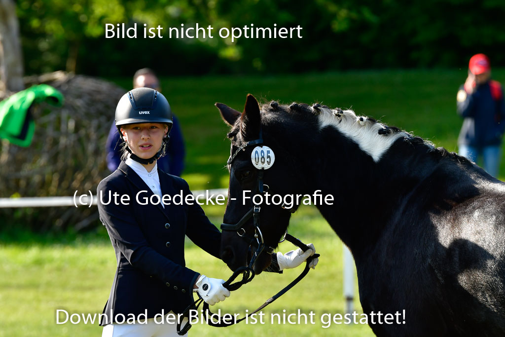 Goldene Schärpe Ponys in Hohen Luckow 1-4.6.23 | 04062023 -  Vormustern _116 