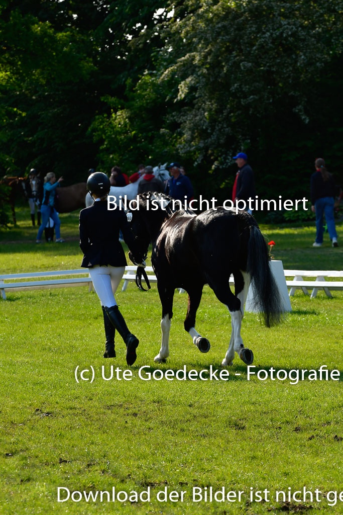 Goldene Schärpe Ponys in Hohen Luckow 1-4.6.23 | 04062023 -  Vormustern _118 