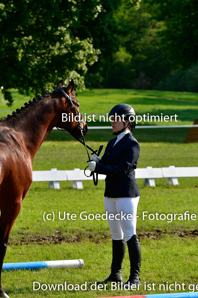 Goldene Schärpe Ponys in Hohen Luckow 1-4.6.23 | 04062023 -  Vormustern _119 