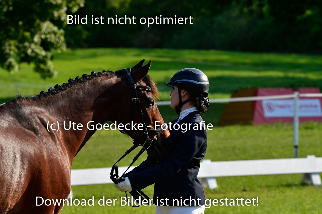 Goldene Schärpe Ponys in Hohen Luckow 1-4.6.23 | 04062023 -  Vormustern _120 