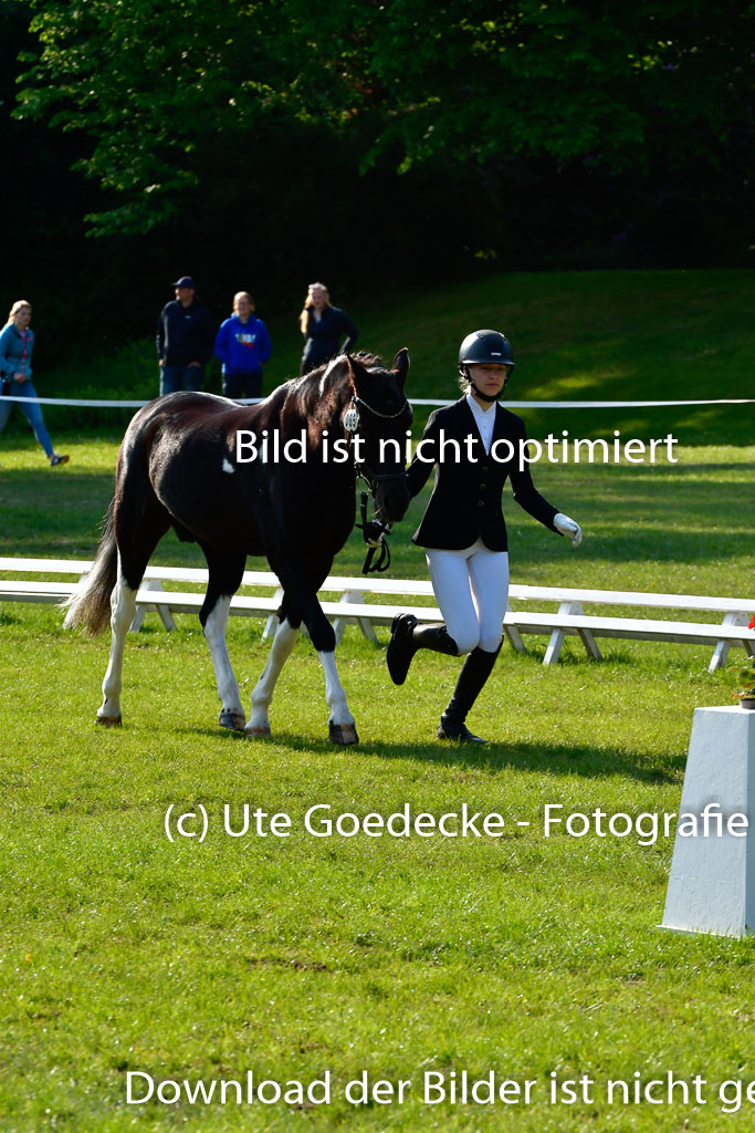 Goldene Schärpe Ponys in Hohen Luckow 1-4.6.23 | 04062023 -  Vormustern _121 