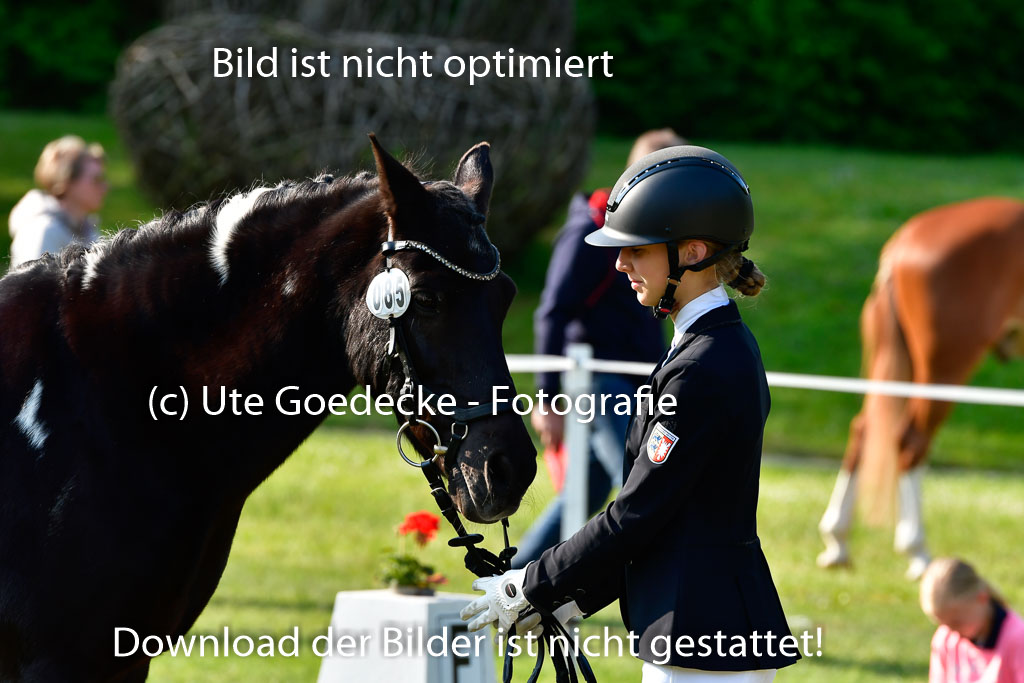 Goldene Schärpe Ponys in Hohen Luckow 1-4.6.23 | 04062023 -  Vormustern _122 