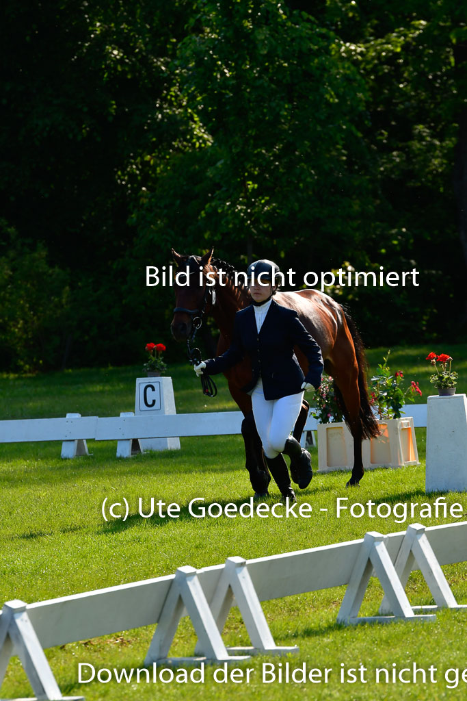 Goldene Schärpe Ponys in Hohen Luckow 1-4.6.23 | 04062023 -  Vormustern _123 