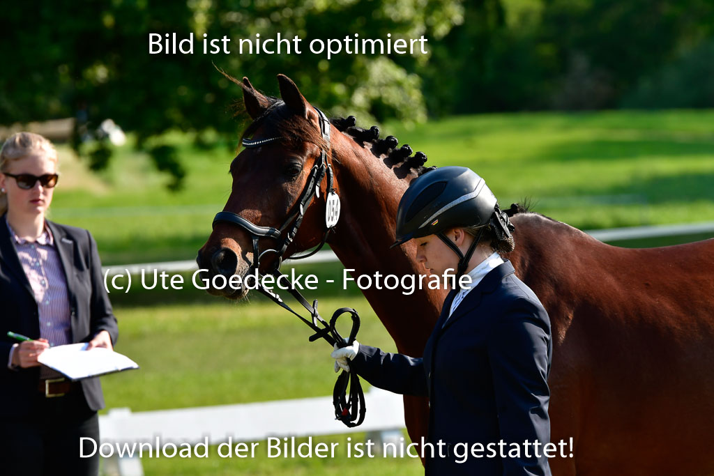 Goldene Schärpe Ponys in Hohen Luckow 1-4.6.23 | 04062023 -  Vormustern _124 