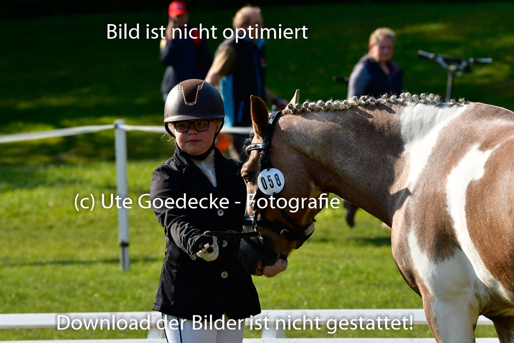 Goldene Schärpe Ponys in Hohen Luckow 1-4.6.23 | 04062023 -  Vormustern _126 