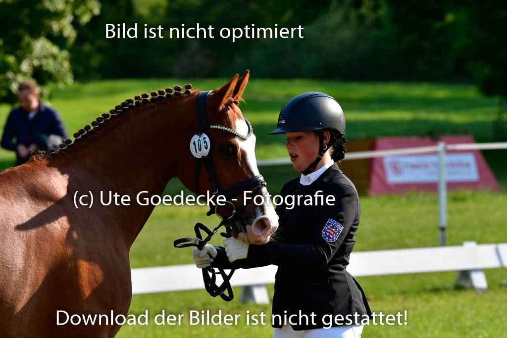 Goldene Schärpe Ponys in Hohen Luckow 1-4.6.23 | 04062023 -  Vormustern _128 