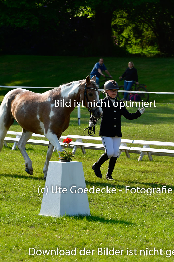 Goldene Schärpe Ponys in Hohen Luckow 1-4.6.23 | 04062023 -  Vormustern _129 