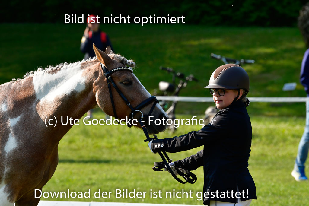 Goldene Schärpe Ponys in Hohen Luckow 1-4.6.23 | 04062023 -  Vormustern _130 