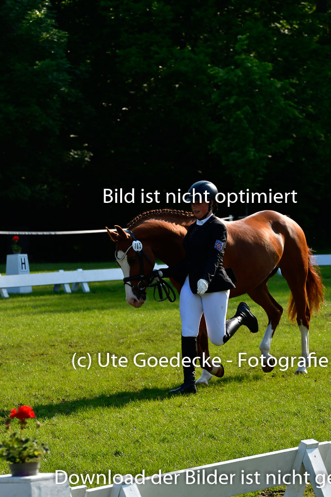 Goldene Schärpe Ponys in Hohen Luckow 1-4.6.23 | 04062023 -  Vormustern _131 