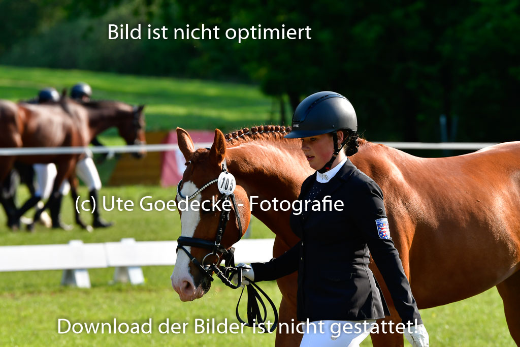 Goldene Schärpe Ponys in Hohen Luckow 1-4.6.23 | 04062023 -  Vormustern _132 