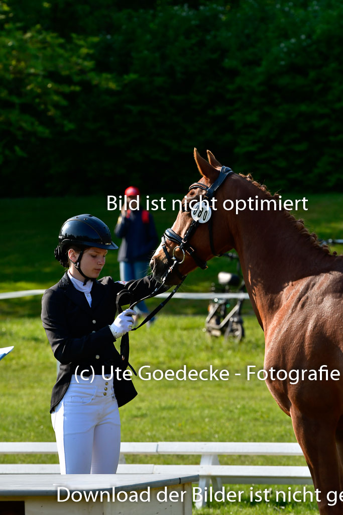 Goldene Schärpe Ponys in Hohen Luckow 1-4.6.23 | 04062023 -  Vormustern _133 