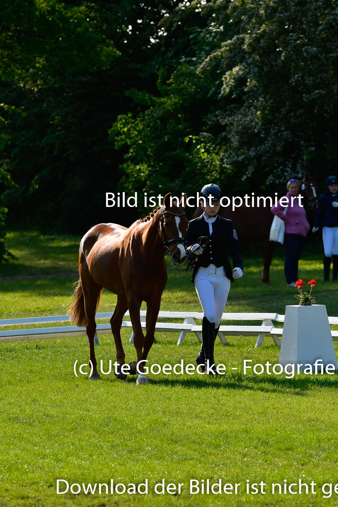 Goldene Schärpe Ponys in Hohen Luckow 1-4.6.23 | 04062023 -  Vormustern _134 