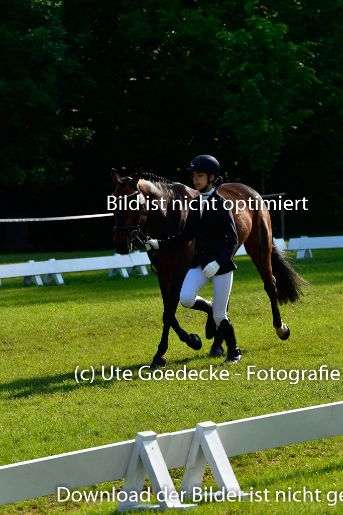 Goldene Schärpe Ponys in Hohen Luckow 1-4.6.23 | 04062023 -  Vormustern _135 