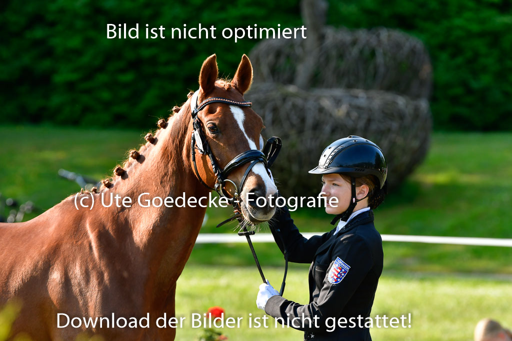 Goldene Schärpe Ponys in Hohen Luckow 1-4.6.23 | 04062023 -  Vormustern _138 