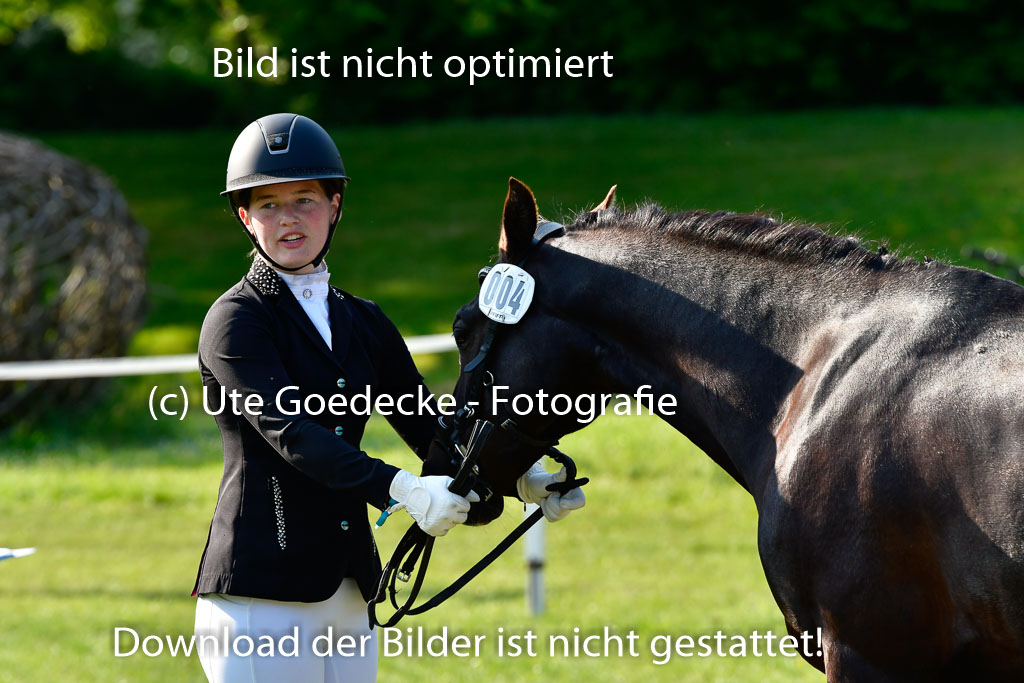 Goldene Schärpe Ponys in Hohen Luckow 1-4.6.23 | 04062023 -  Vormustern _139 