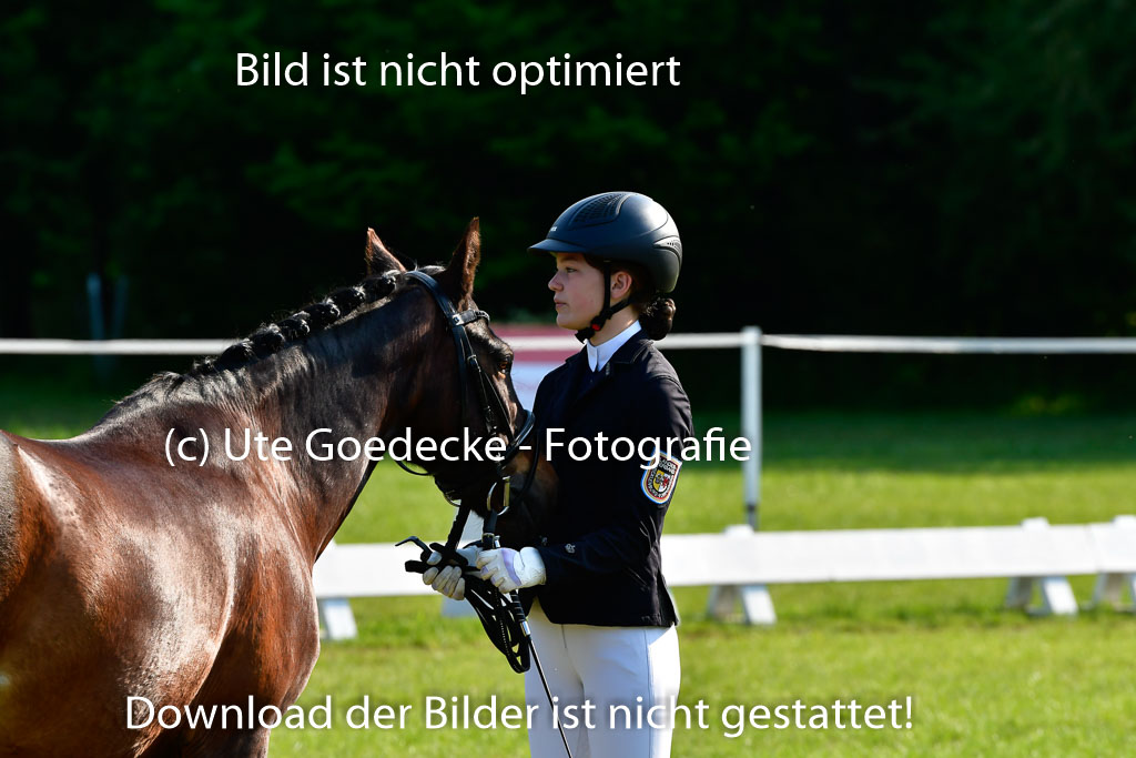 Goldene Schärpe Ponys in Hohen Luckow 1-4.6.23 | 04062023 -  Vormustern _140 