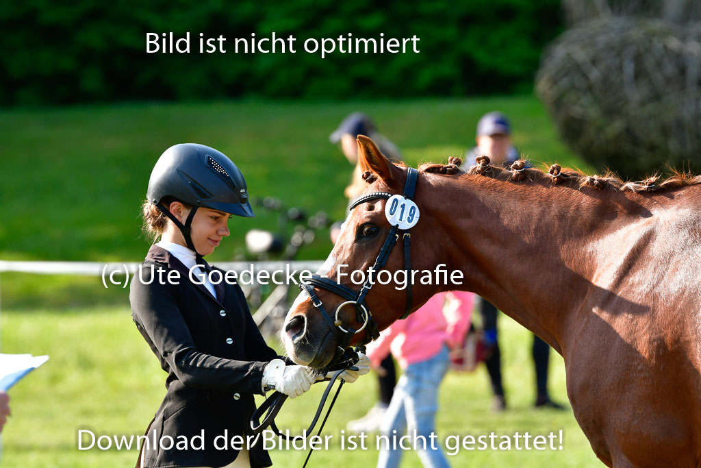 Goldene Schärpe Ponys in Hohen Luckow 1-4.6.23 | 04062023 -  Vormustern _143 