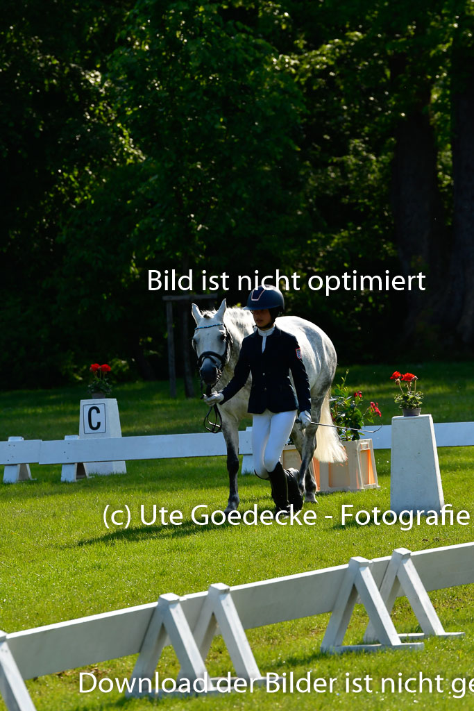 Goldene Schärpe Ponys in Hohen Luckow 1-4.6.23 | 04062023 -  Vormustern _145 