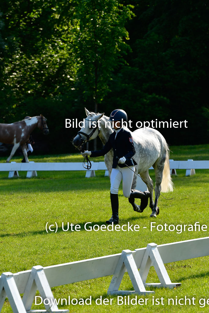 Goldene Schärpe Ponys in Hohen Luckow 1-4.6.23 | 04062023 -  Vormustern _146 