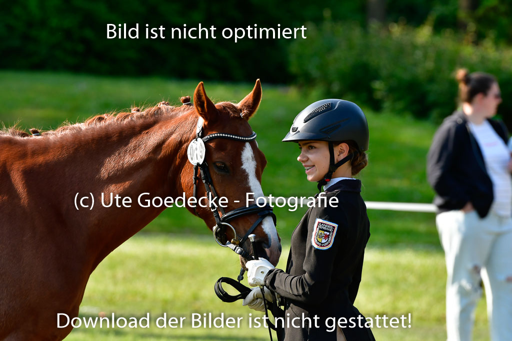 Goldene Schärpe Ponys in Hohen Luckow 1-4.6.23 | 04062023 -  Vormustern _148 