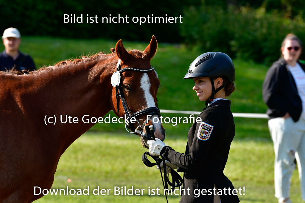 Goldene Schärpe Ponys in Hohen Luckow 1-4.6.23 | 04062023 -  Vormustern _149 
