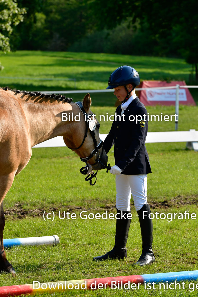 Goldene Schärpe Ponys in Hohen Luckow 1-4.6.23 | 04062023 -  Vormustern _150 