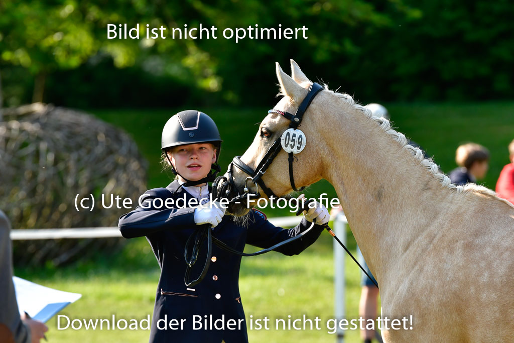 Goldene Schärpe PFerde in Hohen Luckow 1-4.6.23 | 04062023 -  Vormustern _151 