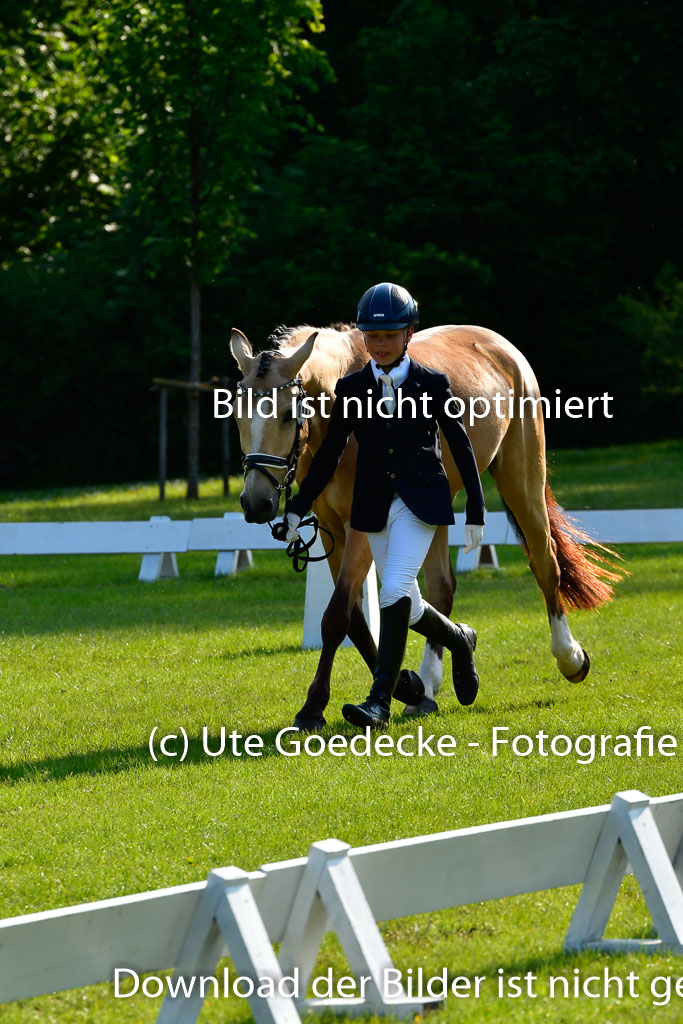 Goldene Schärpe Ponys in Hohen Luckow 1-4.6.23 | 04062023 -  Vormustern _154 
