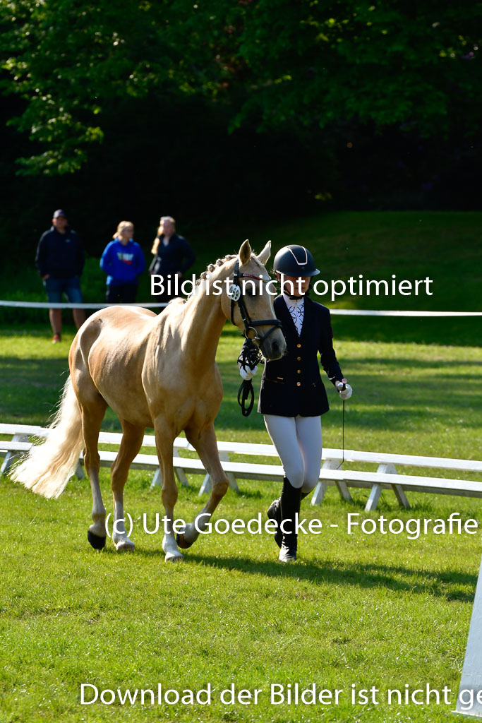 Goldene Schärpe Ponys in Hohen Luckow 1-4.6.23 | 04062023 -  Vormustern _155 