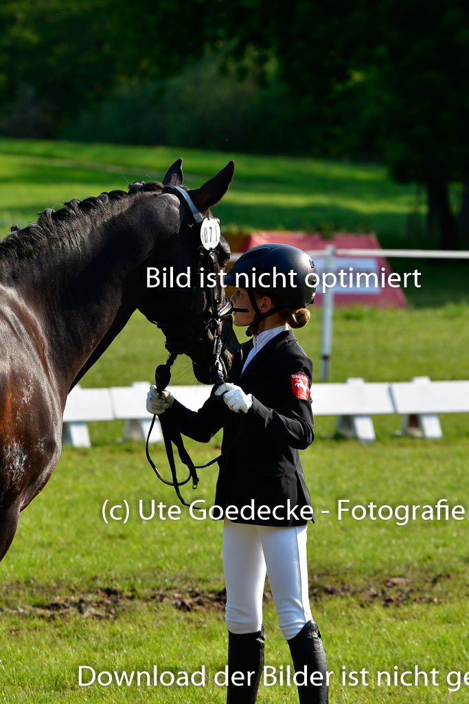 Goldene Schärpe Ponys in Hohen Luckow 1-4.6.23 | 04062023 -  Vormustern _157 