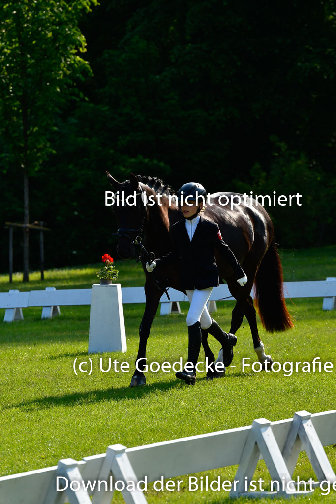 Goldene Schärpe Ponys in Hohen Luckow 1-4.6.23 | 04062023 -  Vormustern _160 