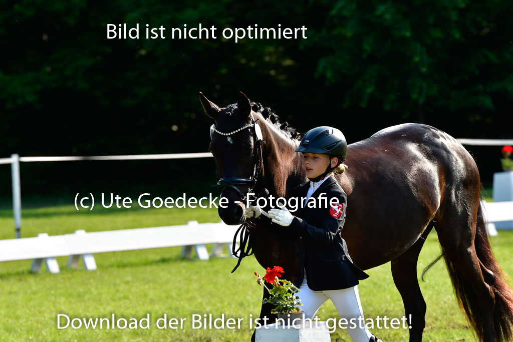 Goldene Schärpe Ponys in Hohen Luckow 1-4.6.23 | 04062023 -  Vormustern _161 