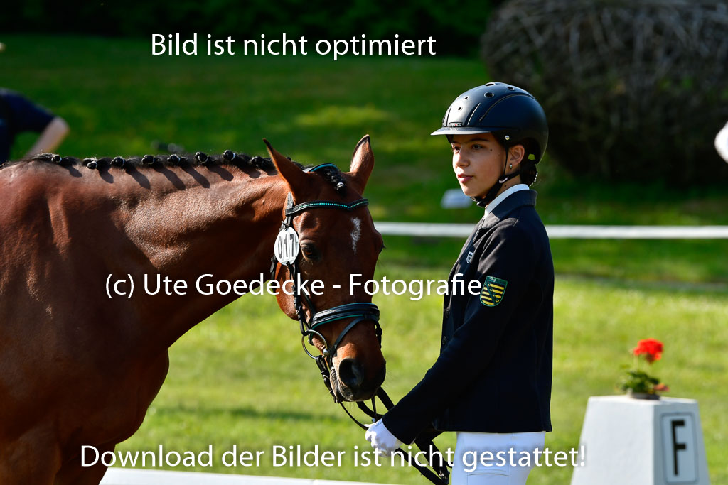 Goldene Schärpe Ponys in Hohen Luckow 1-4.6.23 | 04062023 -  Vormustern _163 