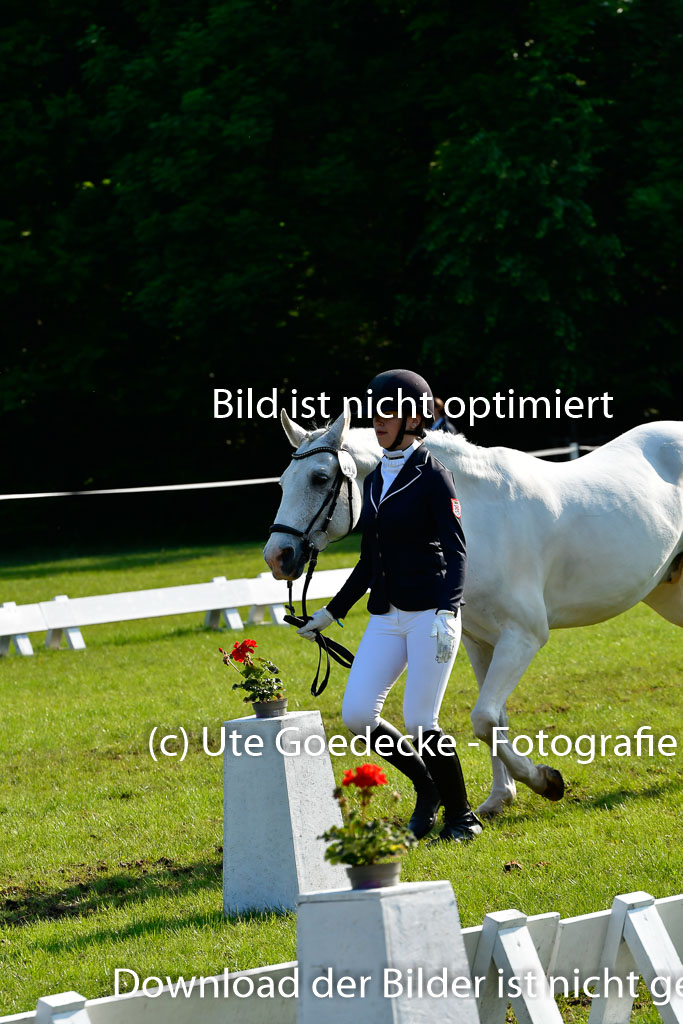 Goldene Schärpe Ponys in Hohen Luckow 1-4.6.23 | 04062023 -  Vormustern _164 