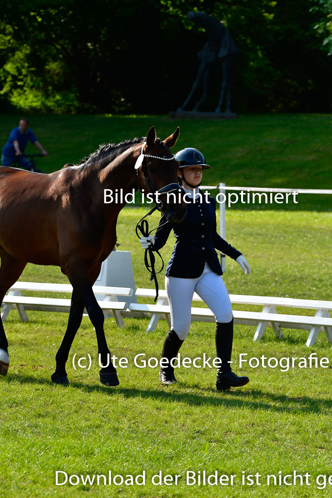 Goldene Schärpe Ponys in Hohen Luckow 1-4.6.23 | 04062023 -  Vormustern _165 