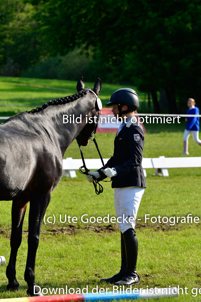 Goldene Schärpe Ponys in Hohen Luckow 1-4.6.23 | 04062023 -  Vormustern _166 