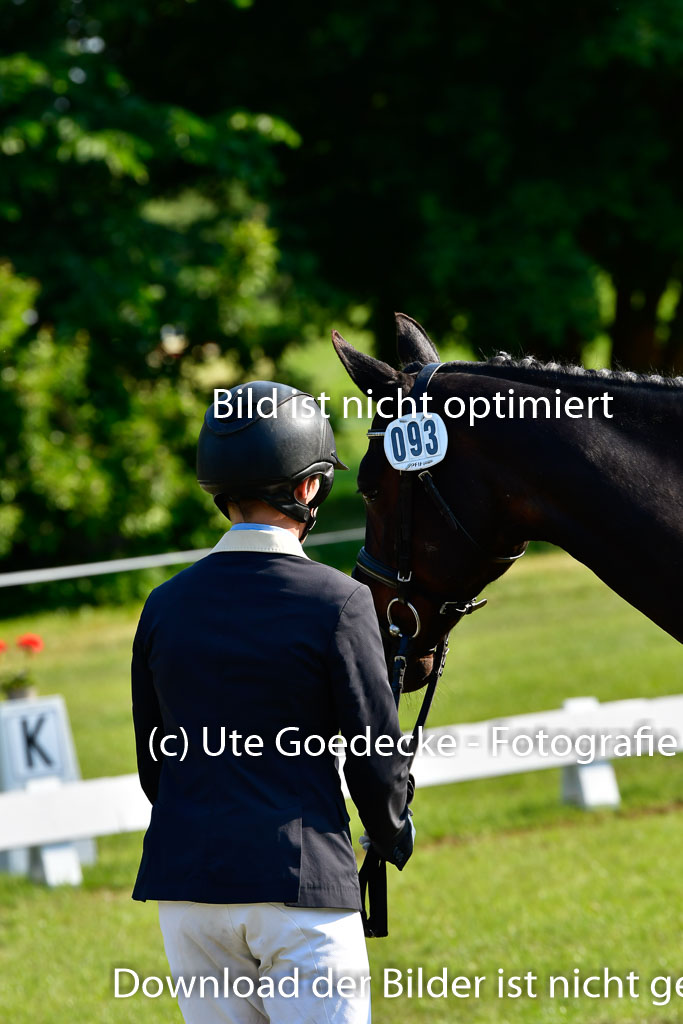 Goldene Schärpe Ponys in Hohen Luckow 1-4.6.23 | 04062023 -  Vormustern _167 