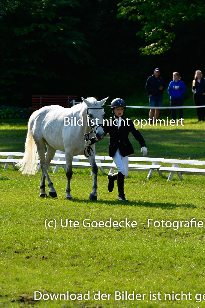 Goldene Schärpe Ponys in Hohen Luckow 1-4.6.23 | 04062023 -  Vormustern _169 