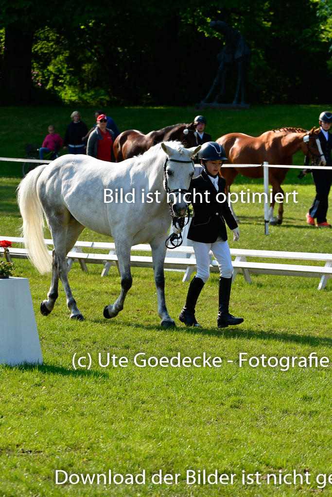 Goldene Schärpe Ponys in Hohen Luckow 1-4.6.23 | 04062023 -  Vormustern _170 