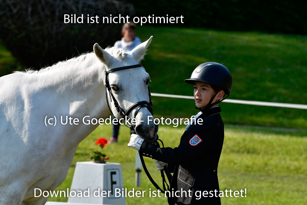 Goldene Schärpe Ponys in Hohen Luckow 1-4.6.23 | 04062023 -  Vormustern _171 