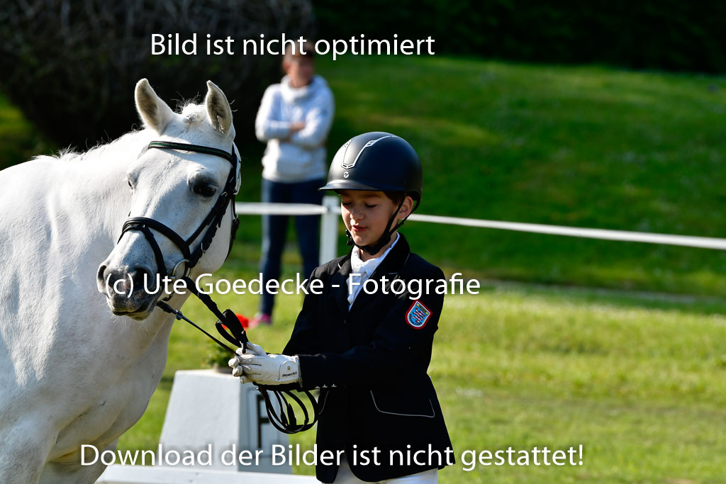 Goldene Schärpe Ponys in Hohen Luckow 1-4.6.23 | 04062023 -  Vormustern _172 