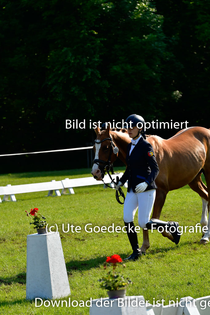 Goldene Schärpe Ponys in Hohen Luckow 1-4.6.23 | 04062023 -  Vormustern _173 