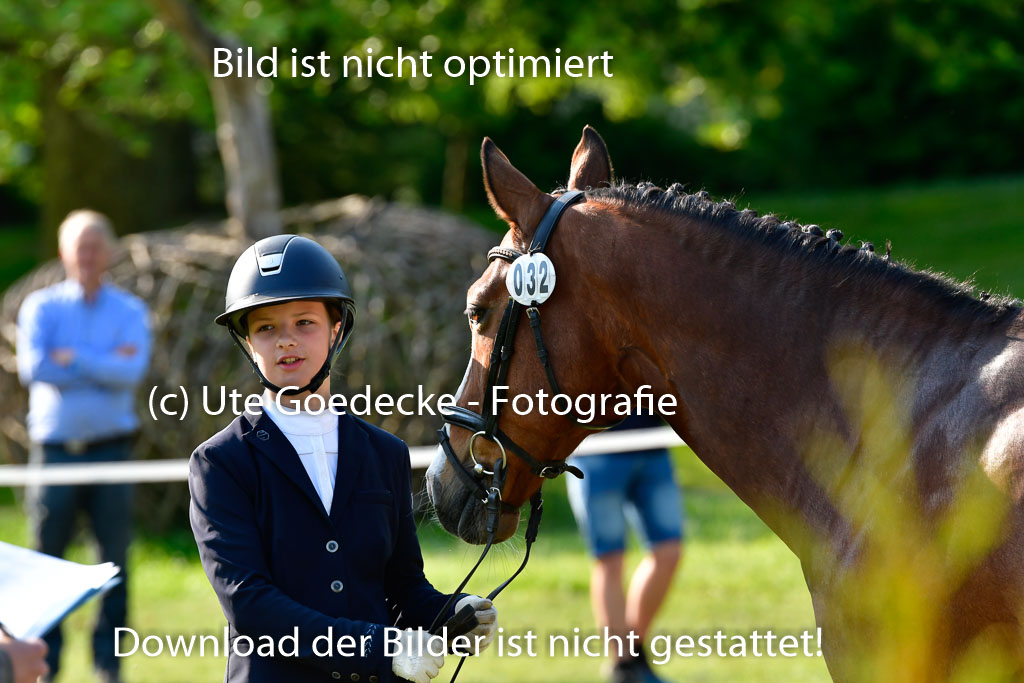 Goldene Schärpe Ponys in Hohen Luckow 1-4.6.23 | 04062023 -  Vormustern _174 