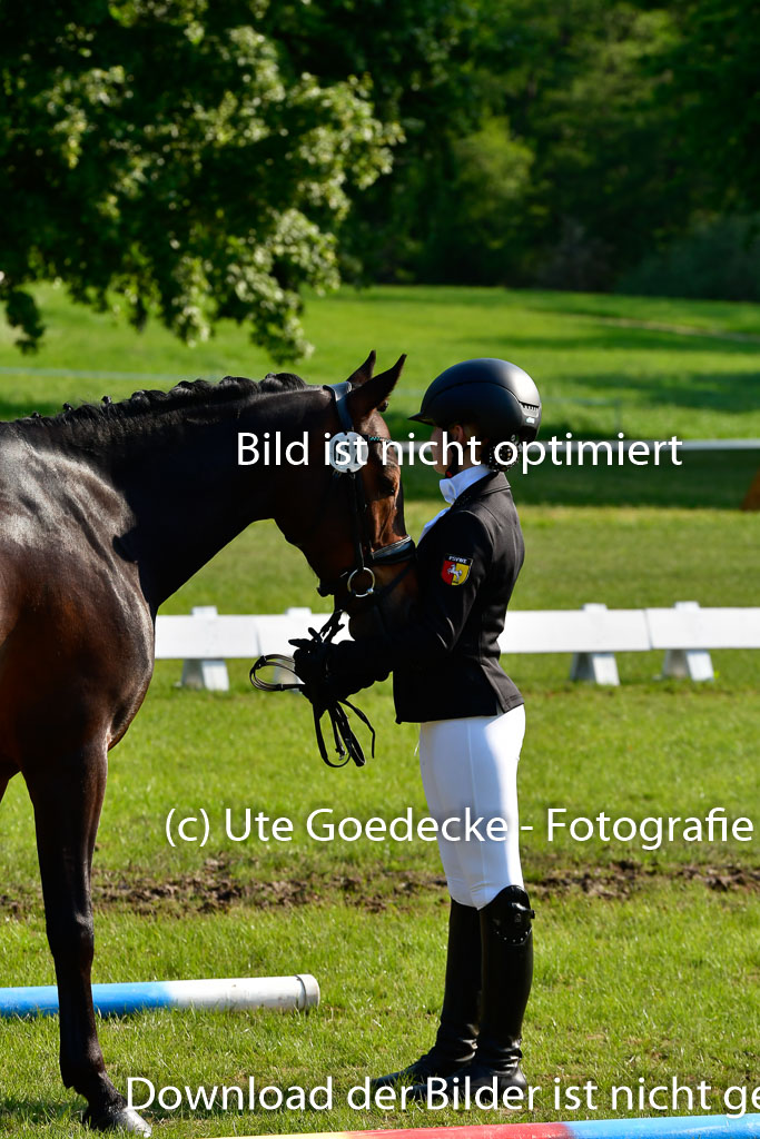 Goldene Schärpe Ponys in Hohen Luckow 1-4.6.23 | 04062023 -  Vormustern _175 