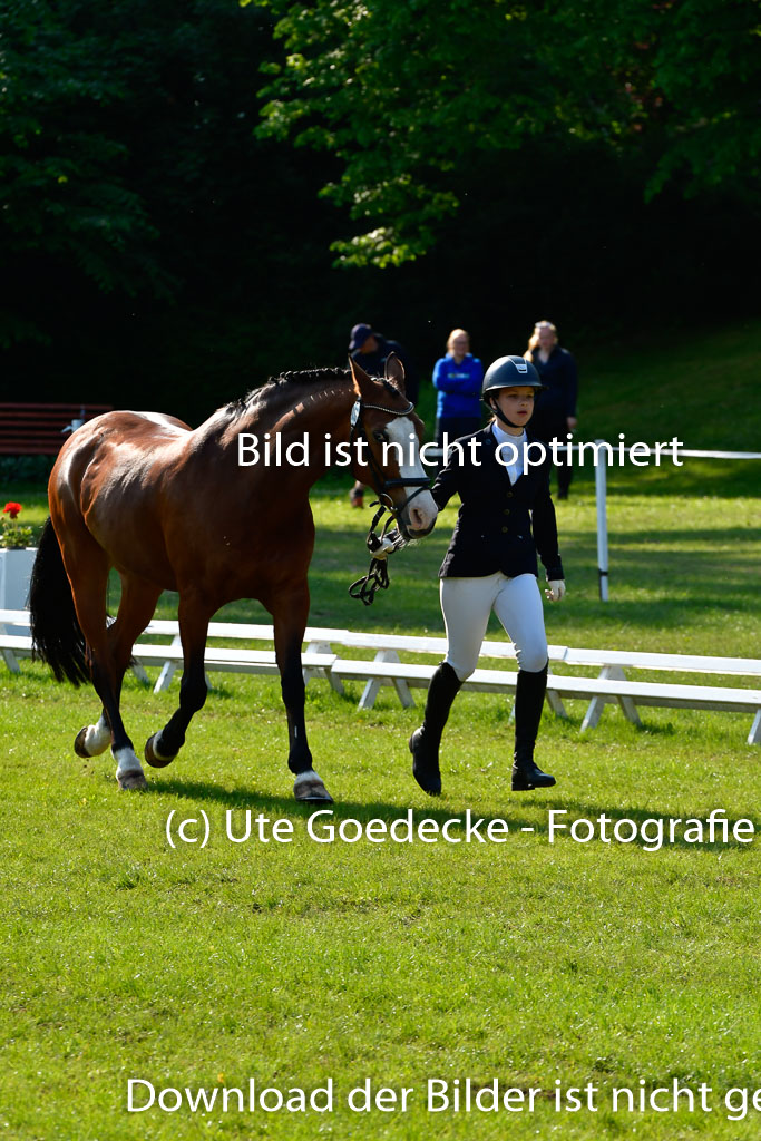 Goldene Schärpe Ponys in Hohen Luckow 1-4.6.23 | 04062023 -  Vormustern _176 