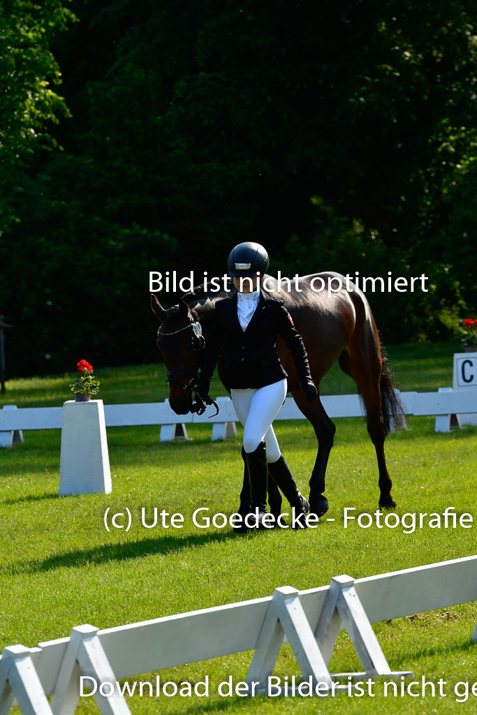 Goldene Schärpe Ponys in Hohen Luckow 1-4.6.23 | 04062023 -  Vormustern _178 