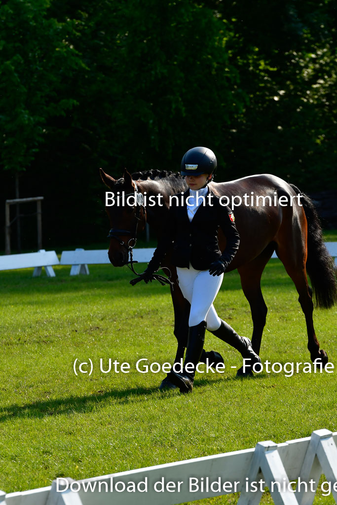 Goldene Schärpe Ponys in Hohen Luckow 1-4.6.23 | 04062023 -  Vormustern _179 