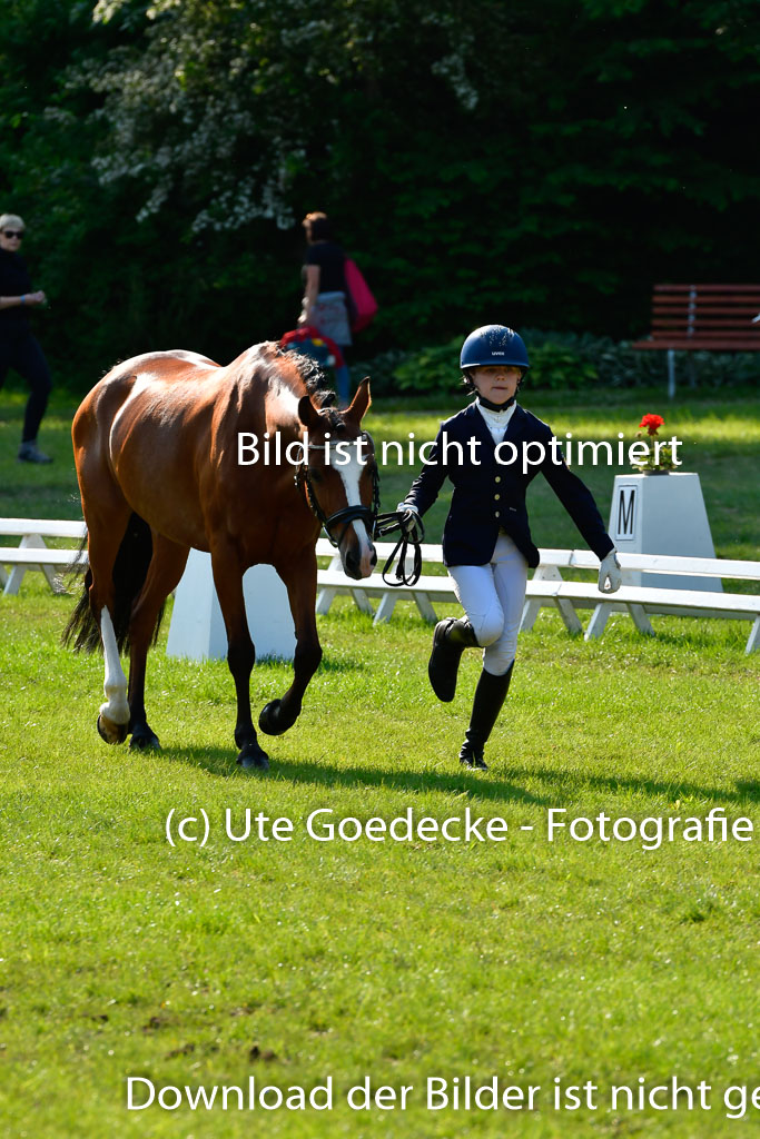 Goldene Schärpe Ponys in Hohen Luckow 1-4.6.23 | 04062023 -  Vormustern _182 